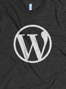 WordPress: Got Plugins?  (4 Plugins you need to check)
